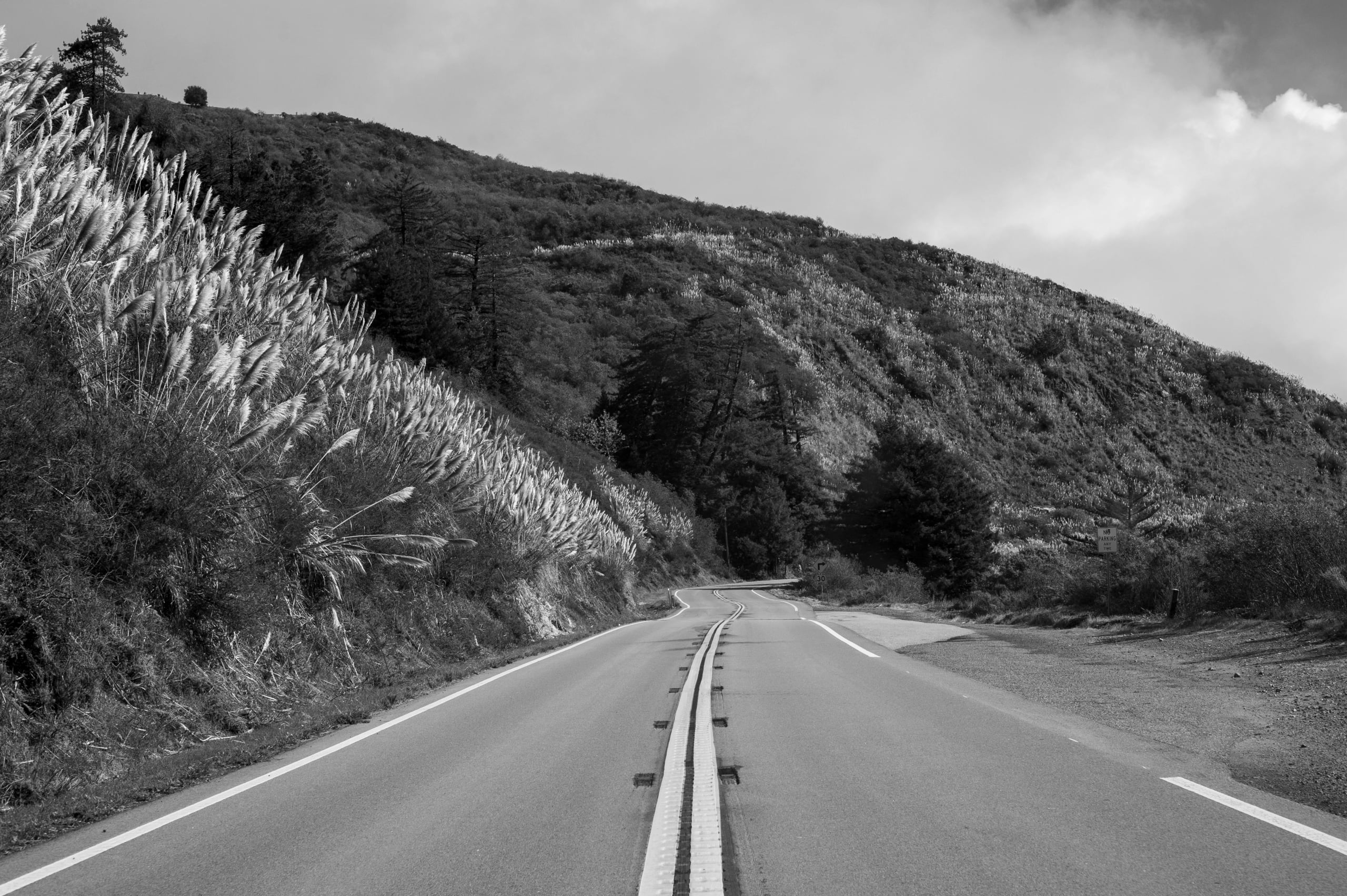 HGarfield-NorCal-23-048
