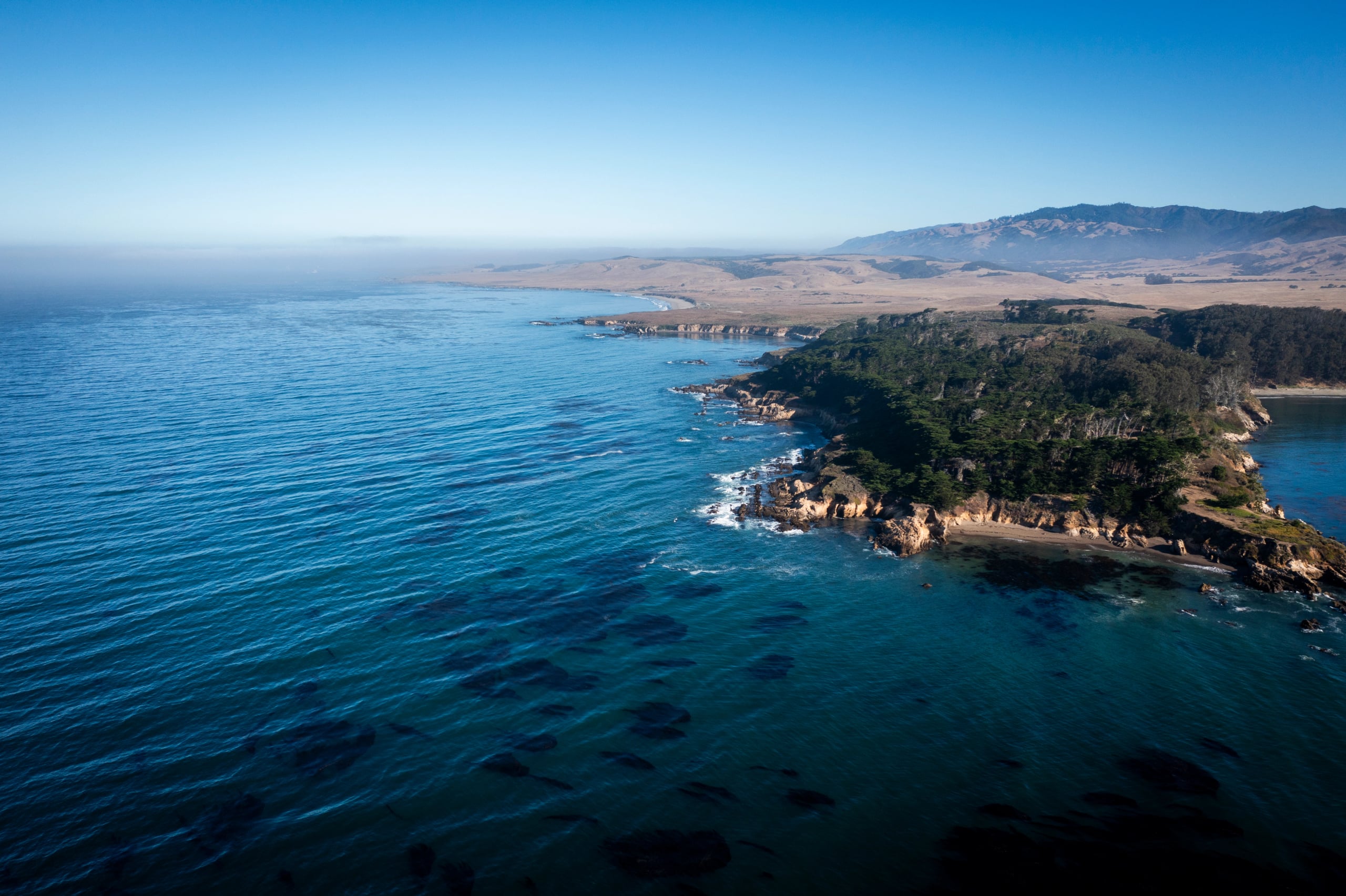 Hgarfield-BigSur24-28