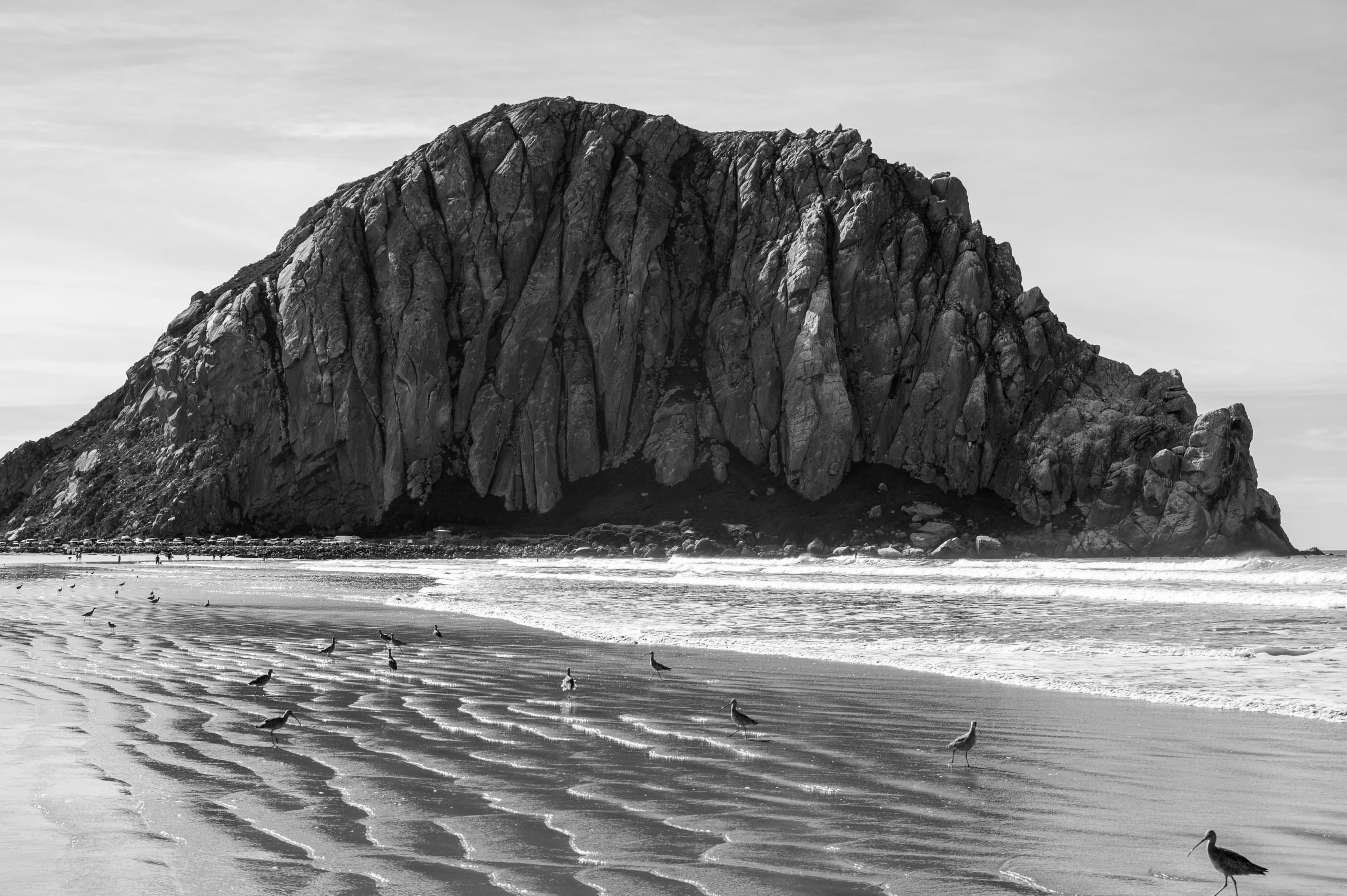 HGarfield-NorCal-23-067