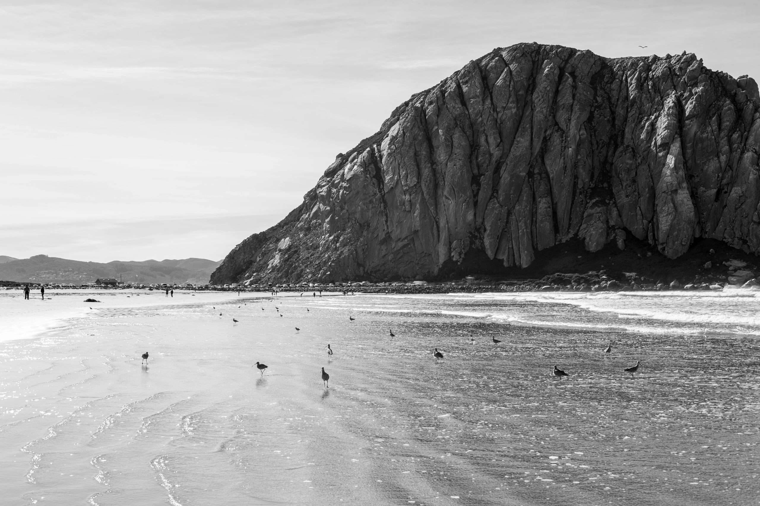 HGarfield-NorCal-23-066