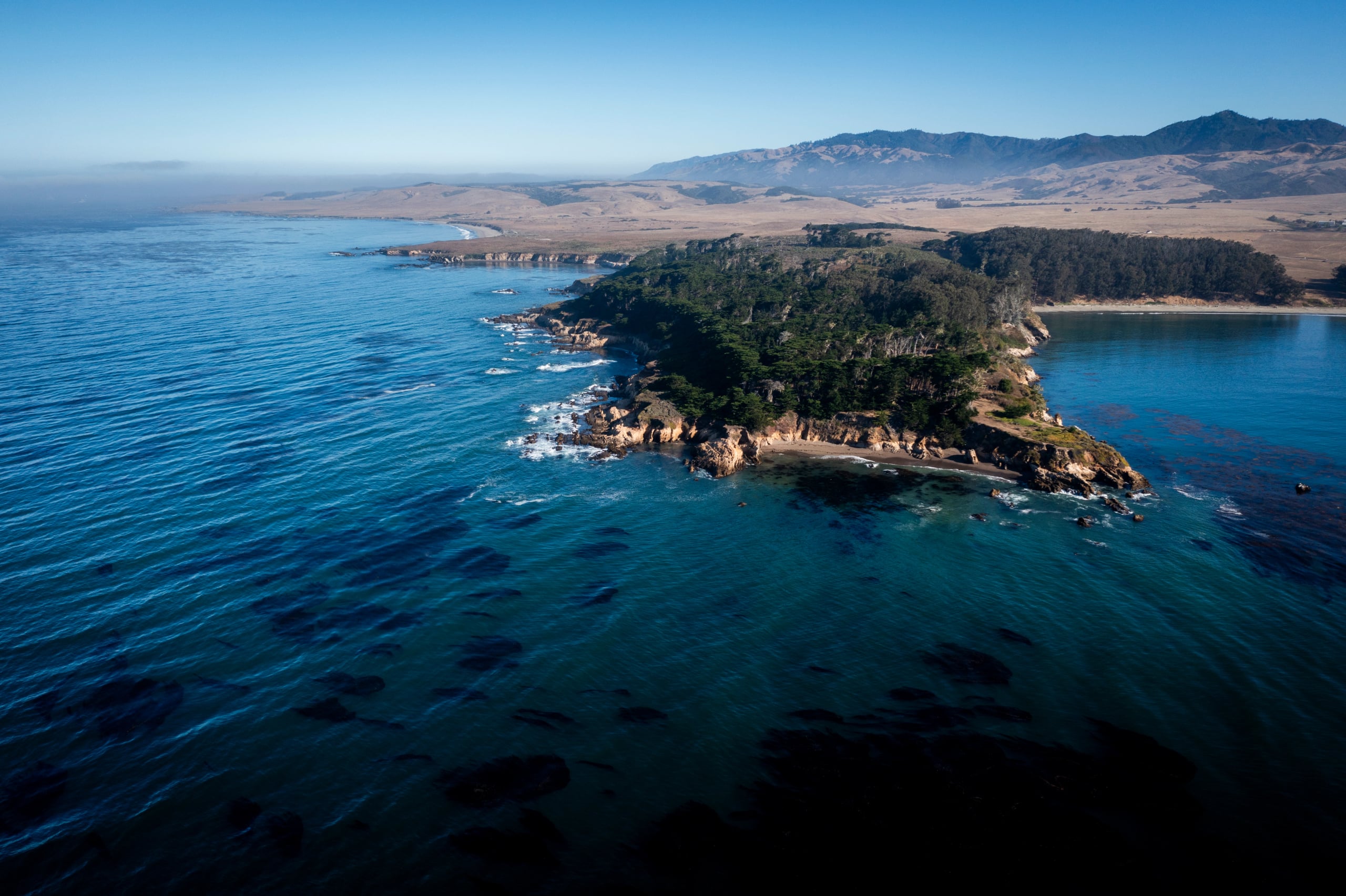Hgarfield-BigSur24-25