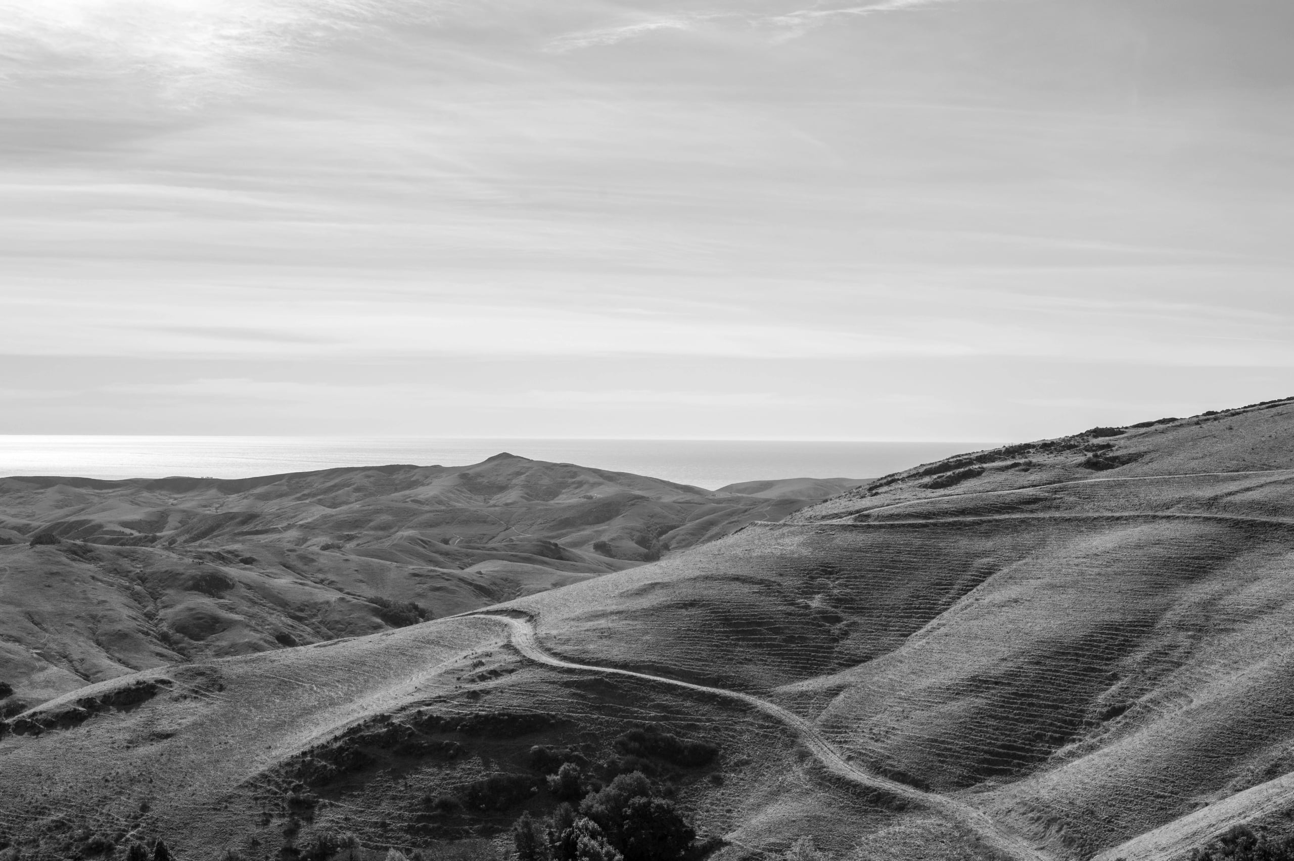 HGarfield-NorCal-23-070
