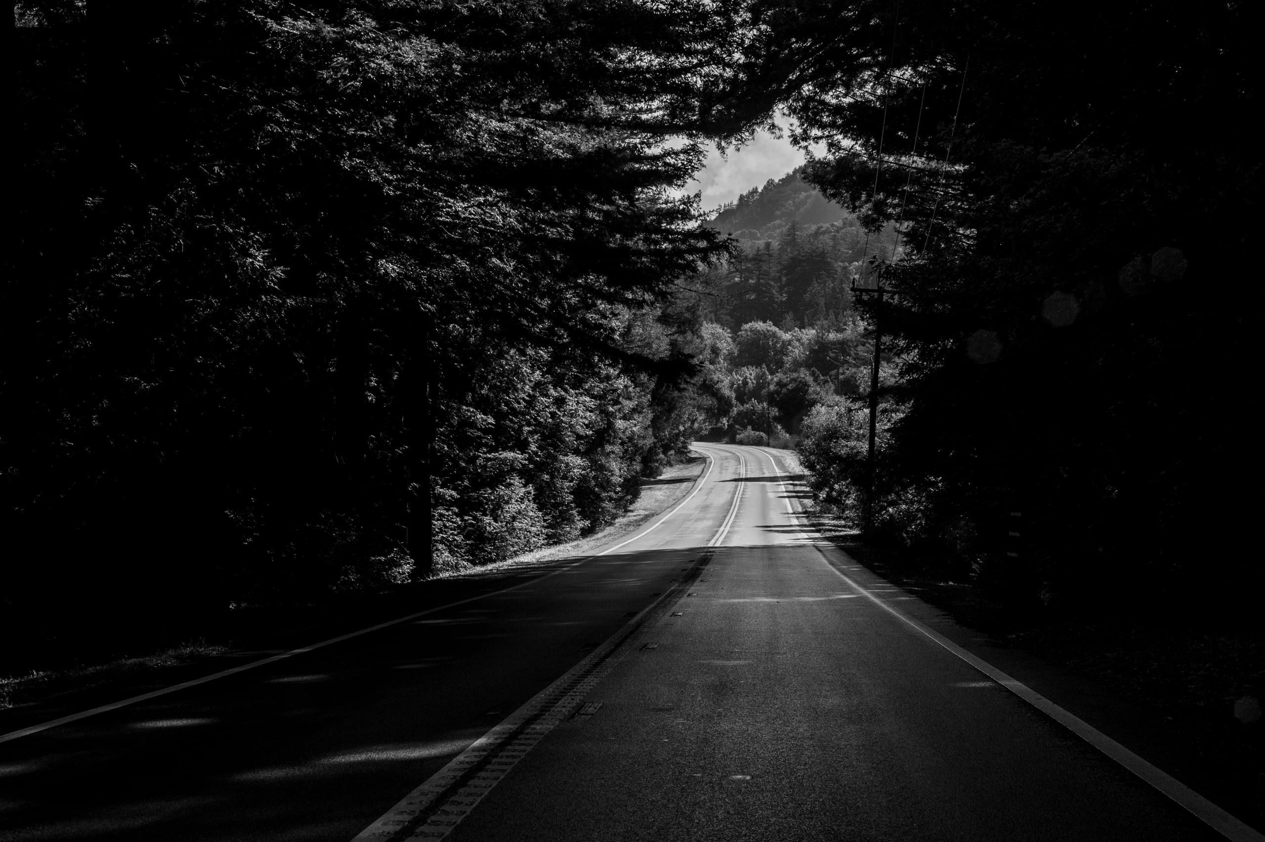 HGarfield-NorCal-23-029