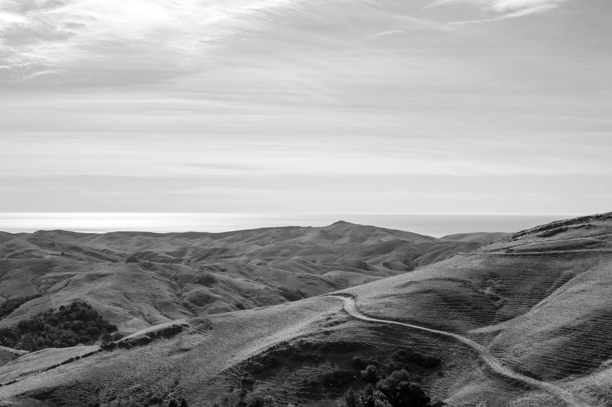 HGarfield-NorCal-23-071