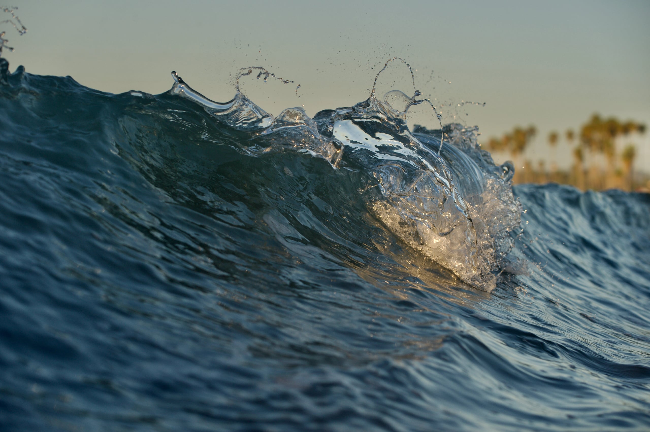 Hgarfield-16.EastBeachMinis-198