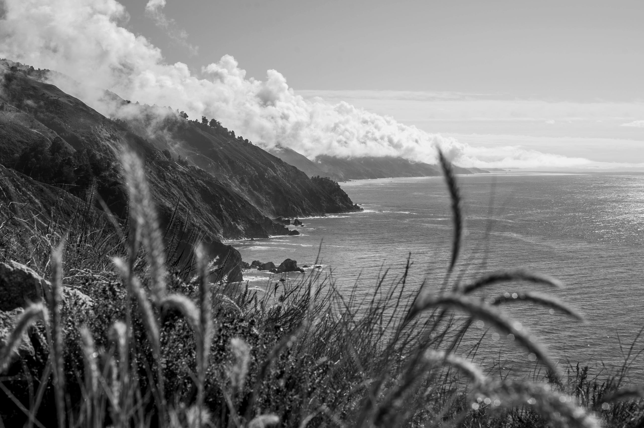HGarfield-NorCal-23-030