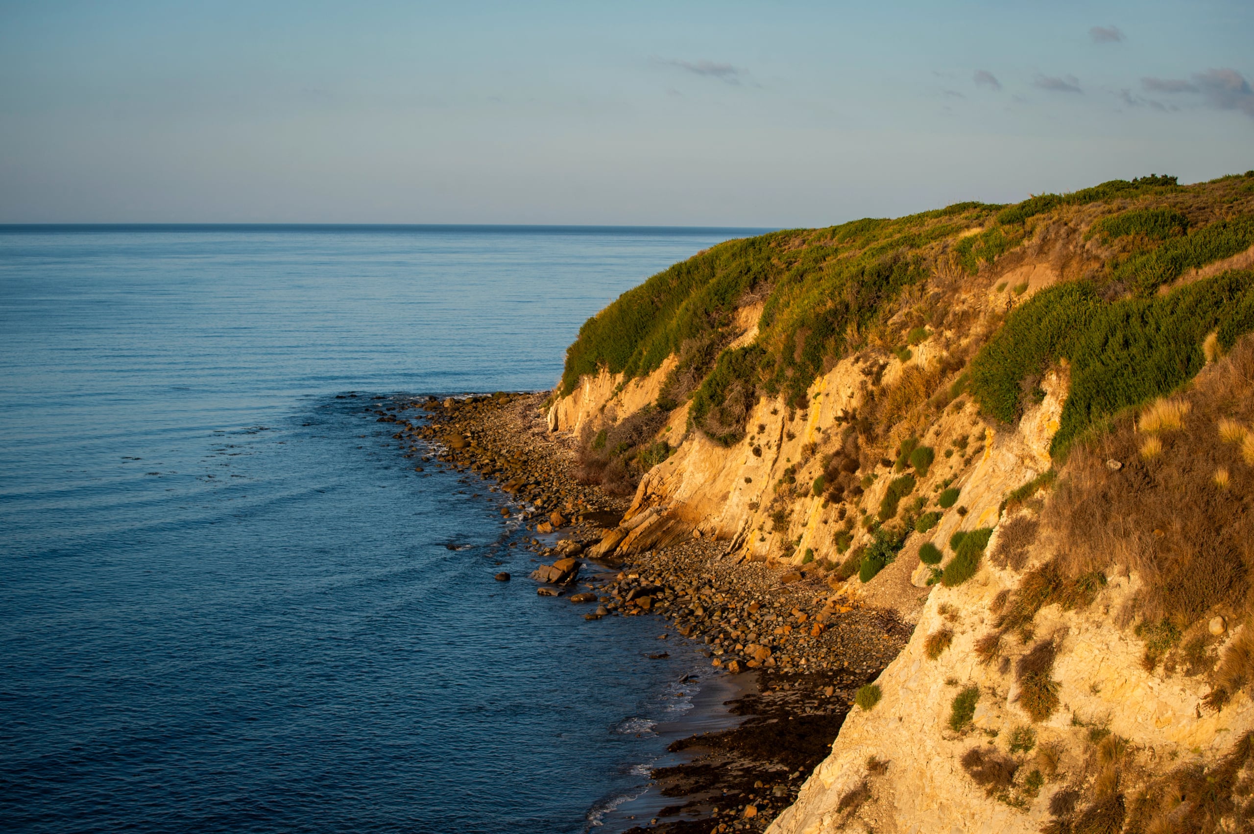 Hgarfield-Gaviota-02
