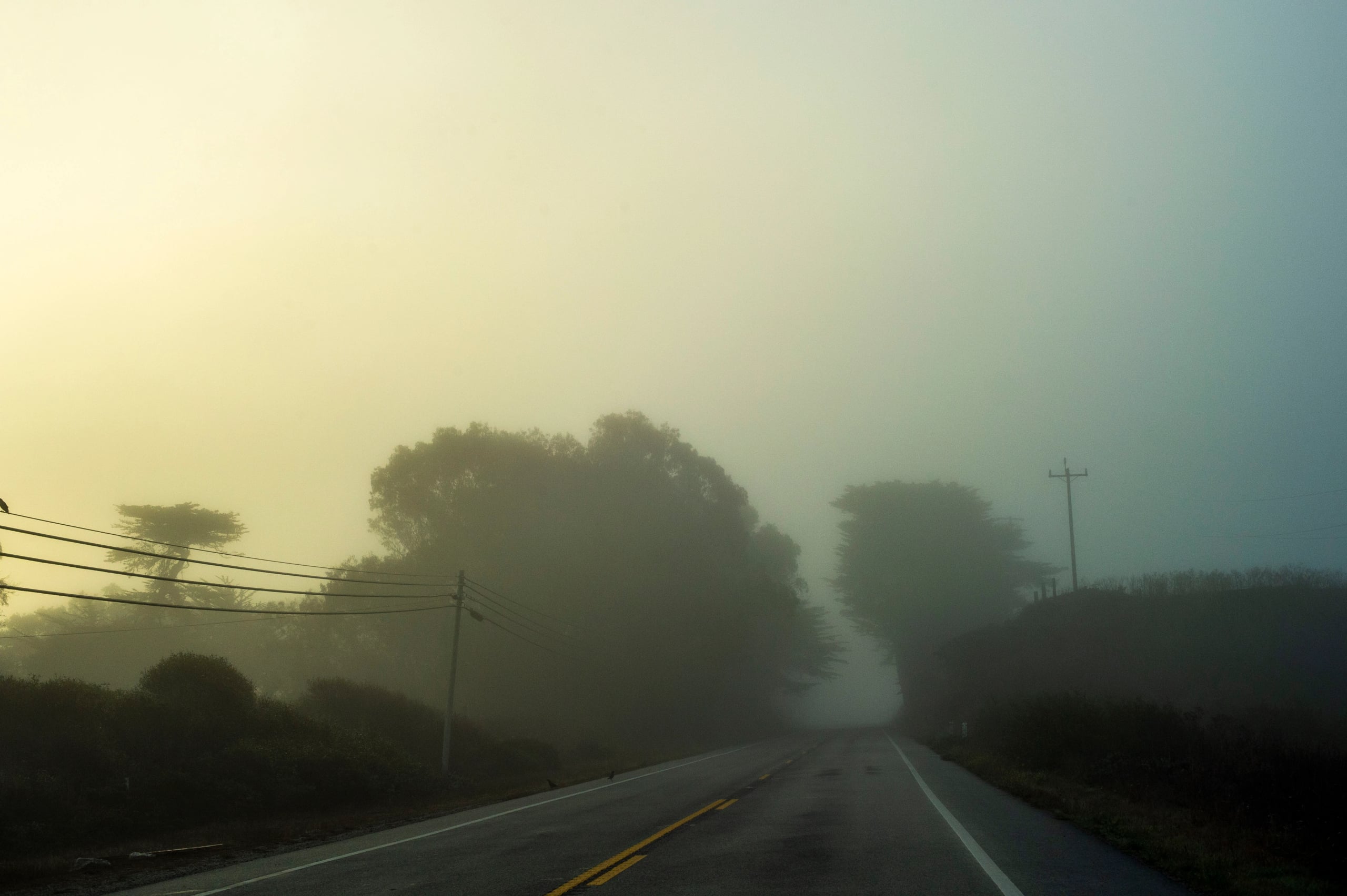 HGarfield-NorCal-23-080