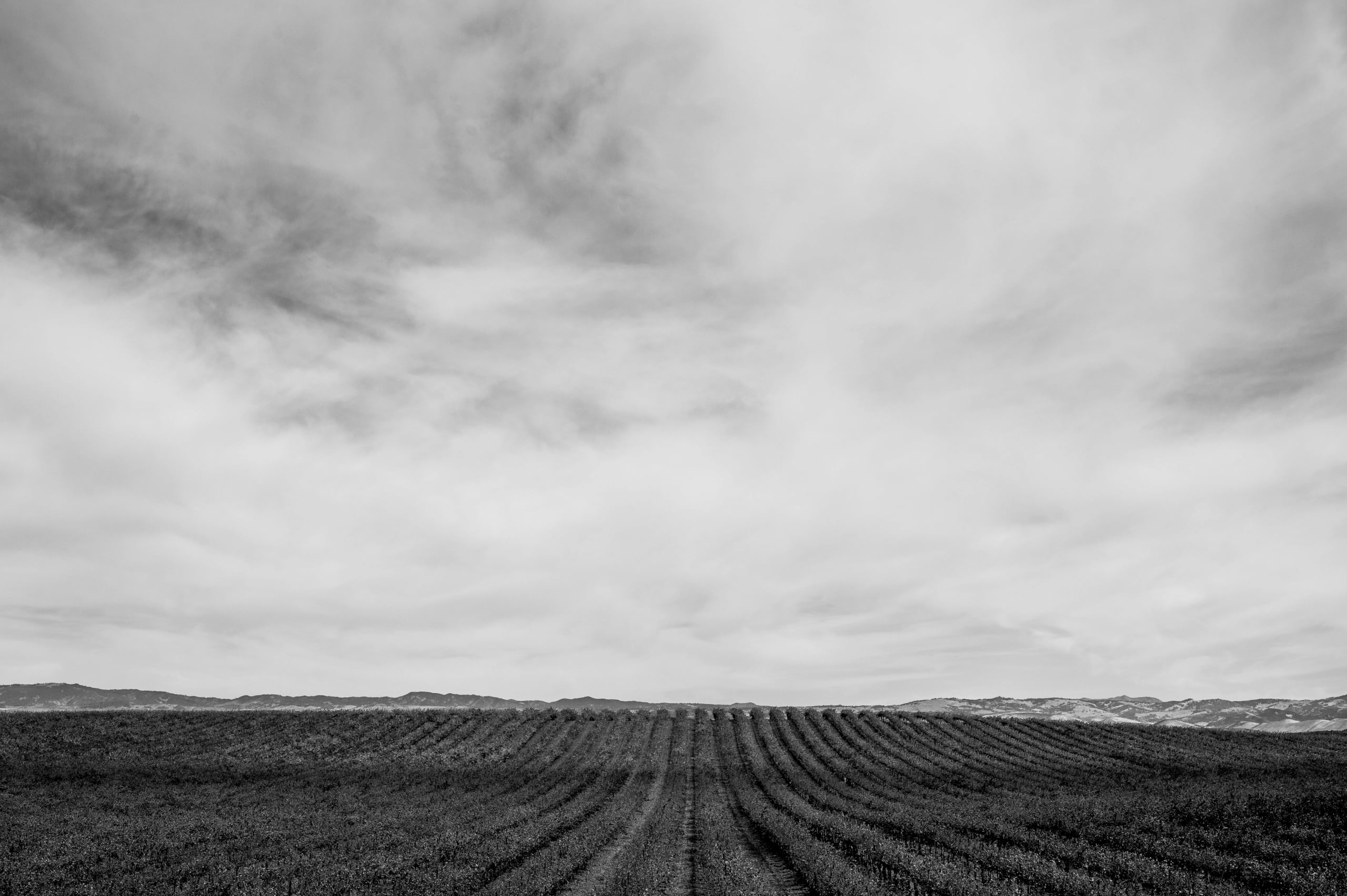 HGarfield-NorCal-23-075