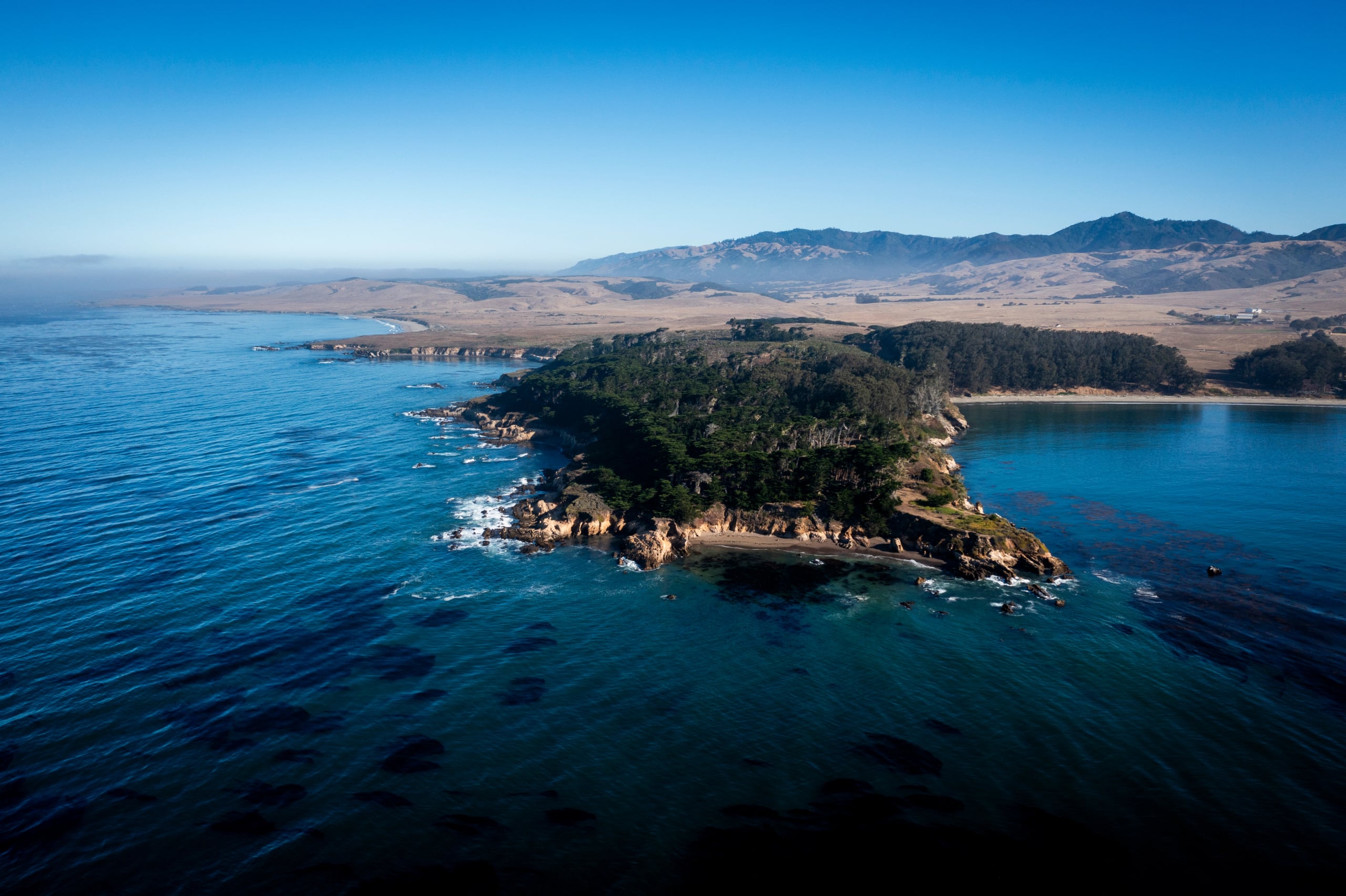 Hgarfield-BigSur24-23