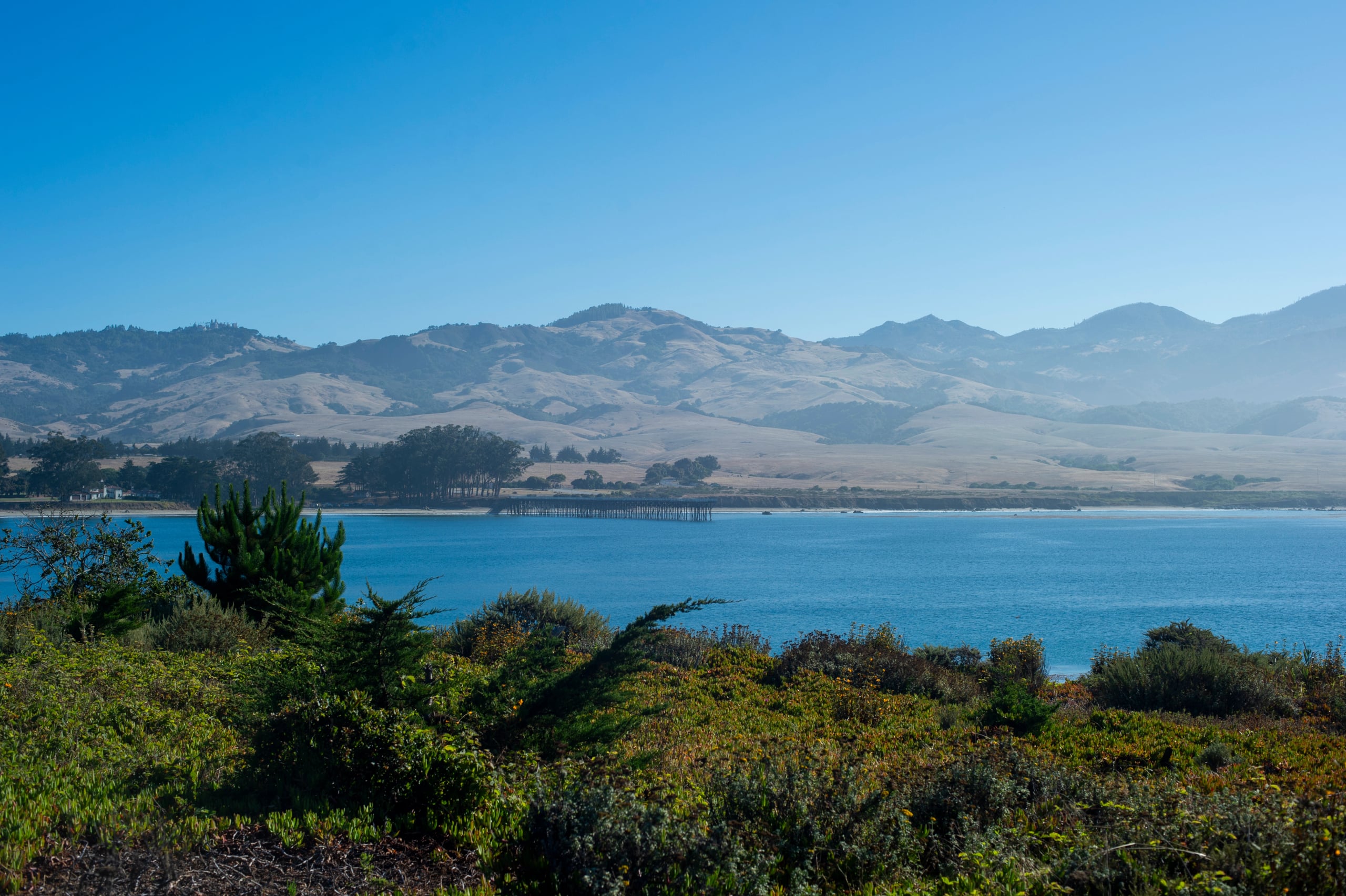 Hgarfield-California-23-020